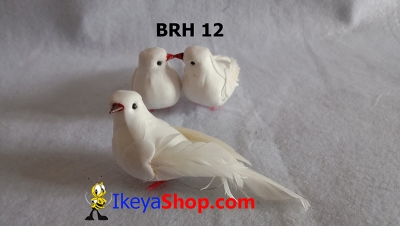 BRH 12 a  large2